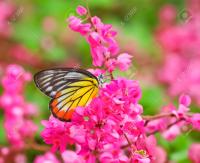 XXforhubby's Avatar XXforhubby's Avatar