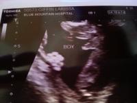 4Giffins's Avatar 4Giffins's Avatar