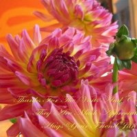 pinkinthestars's Avatar pinkinthestars's Avatar