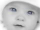 fivebabies's Avatar fivebabies's Avatar