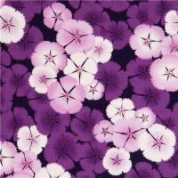 purple's Avatar purple's Avatar
