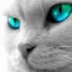 nks798's Avatar nks798's Avatar