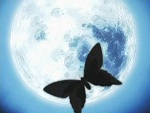 HopefulMonster's Avatar HopefulMonster's Avatar
