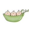 sweetpea's Avatar sweetpea's Avatar